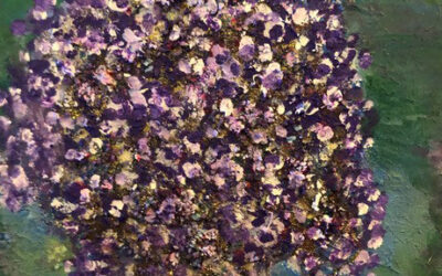 Quando la poesia dei due nomi si fa rapporto